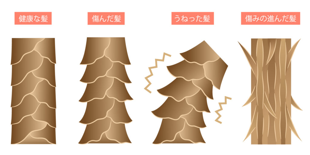 ダメージによる乾燥